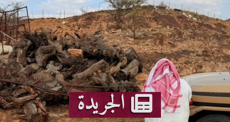 القوات المسلحة تحذر من استخدام الحطب والفحم المحلي في الأنشطة التجارية - آخر أخبار الجريدة