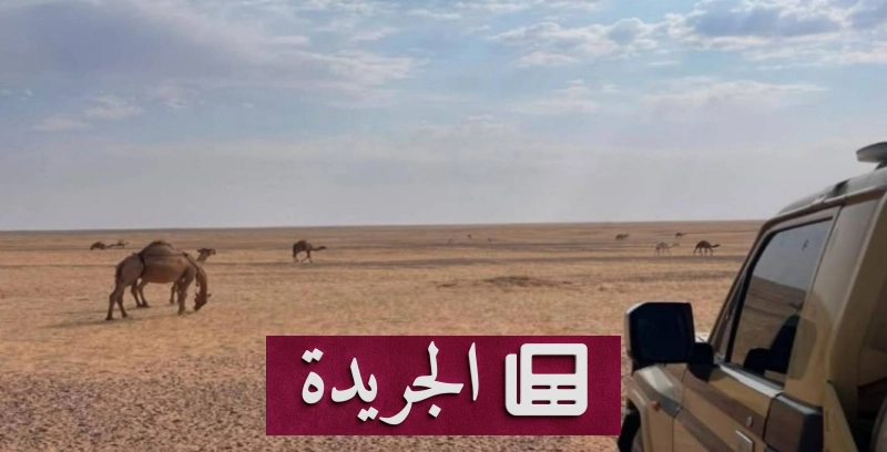 القوات المسلحة تحذر من رعي الإبل خارج المناطق المخصصة - آخر الأخبار - الجريدة