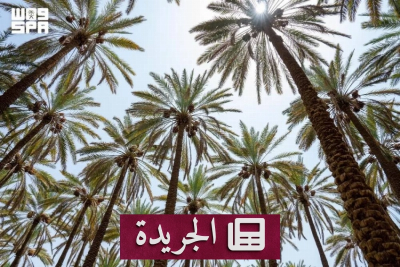 المزاد الزراعي في العلا يدشن مرحلة جديدة من النمو الاقتصادي والزراعي - آخر الأخبار - الجريدة