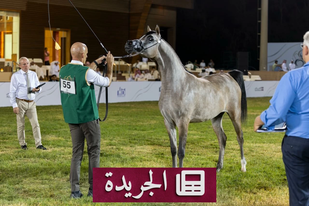 الرياض تحتضن البطولة الـ15 لجمال الخيل العربية الأصيلة - آخر الأخبار - الجريدة