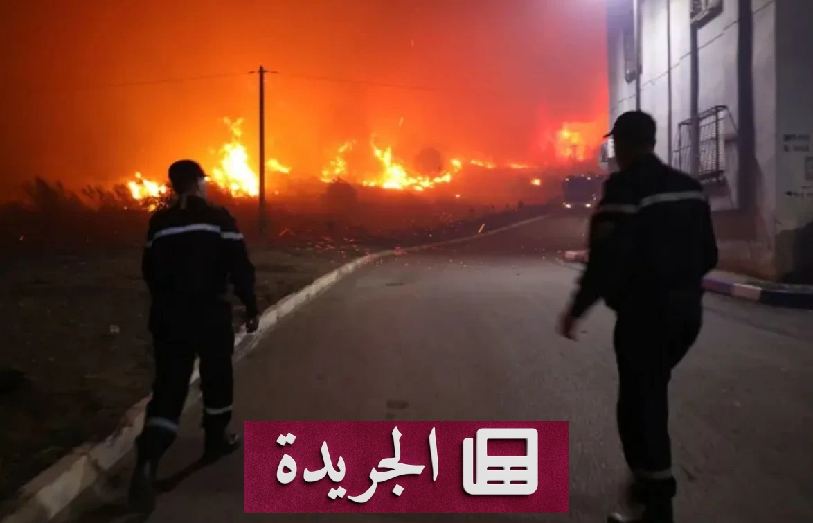 الرئيس الجزائري: أياد إجرامية قد تكون وراء الحرائق المتفشية - آخر الأخبار - الجريدة
