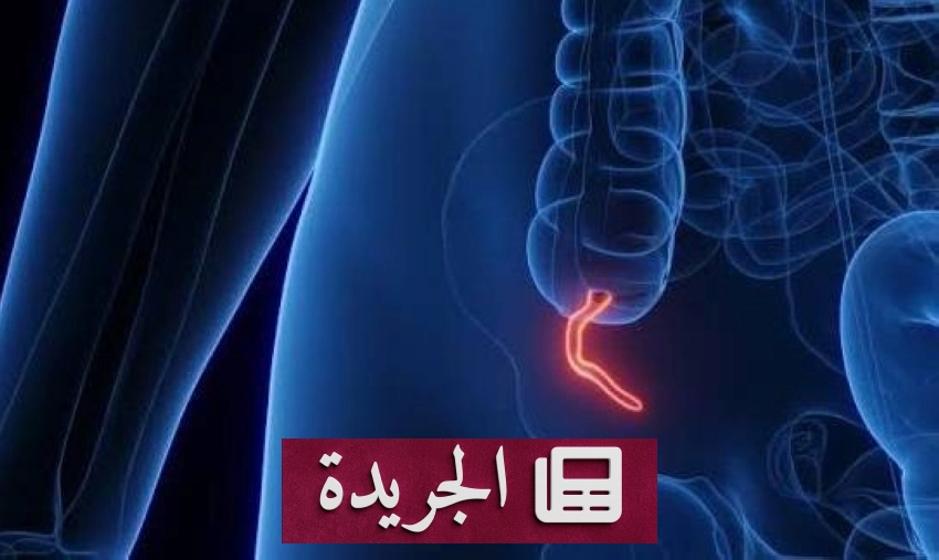 التحالف العسكري يدمر صواريخ حوثية موجهة نحو خميس مشيط - آخر الأخبار - الجريدة