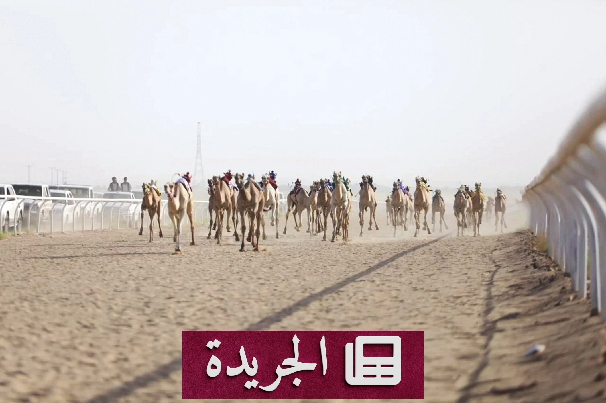 انطلاق سباقات الهجن في حائل بمشاركة ملاك الهجن - آخر الأخبار - الجريدة