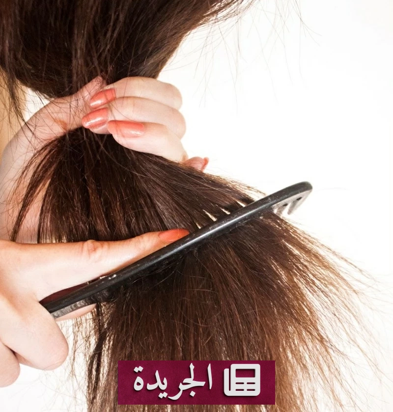 أربع عادات يومية تحمي أطراف شعرك من التقصف - آخر الأخبار - الجريدة