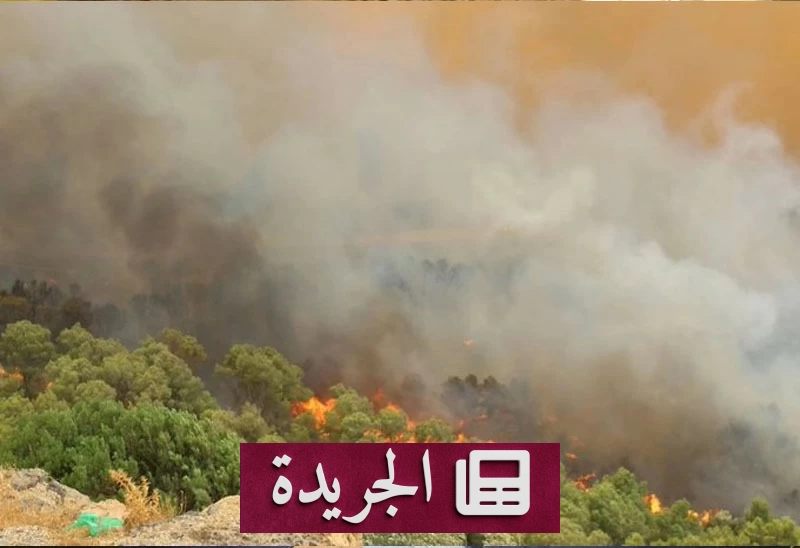 ارتفاع ضحايا حرائق الغابات في الجزائر إلى 73 قتيلا - آخر الأخبار - الجريدة