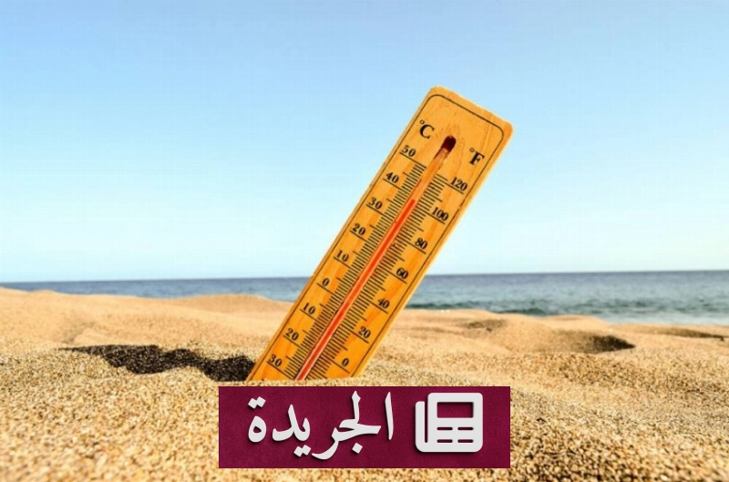 ارتفاع درجات حرارة البحار الأوروبية يهدد النظم البيئية - أخبار أونلاين