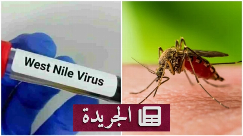 ارتفاع حالات الإصابة بفيروس غرب النيل في اليونان إلى 232 إصابة و19 وفاة - آخر الأخبار - الجريدة