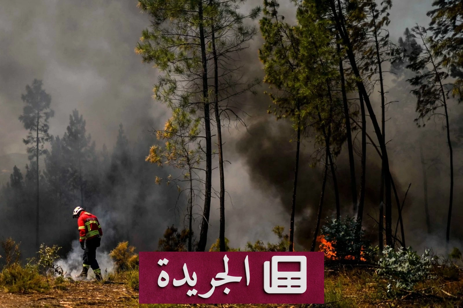 ارتفاع خطر حرائق الغابات إلى أقصى مستوى في مناطق بالبرتغال بسبب موجة الحر - آخر الأخبار - الجريدة