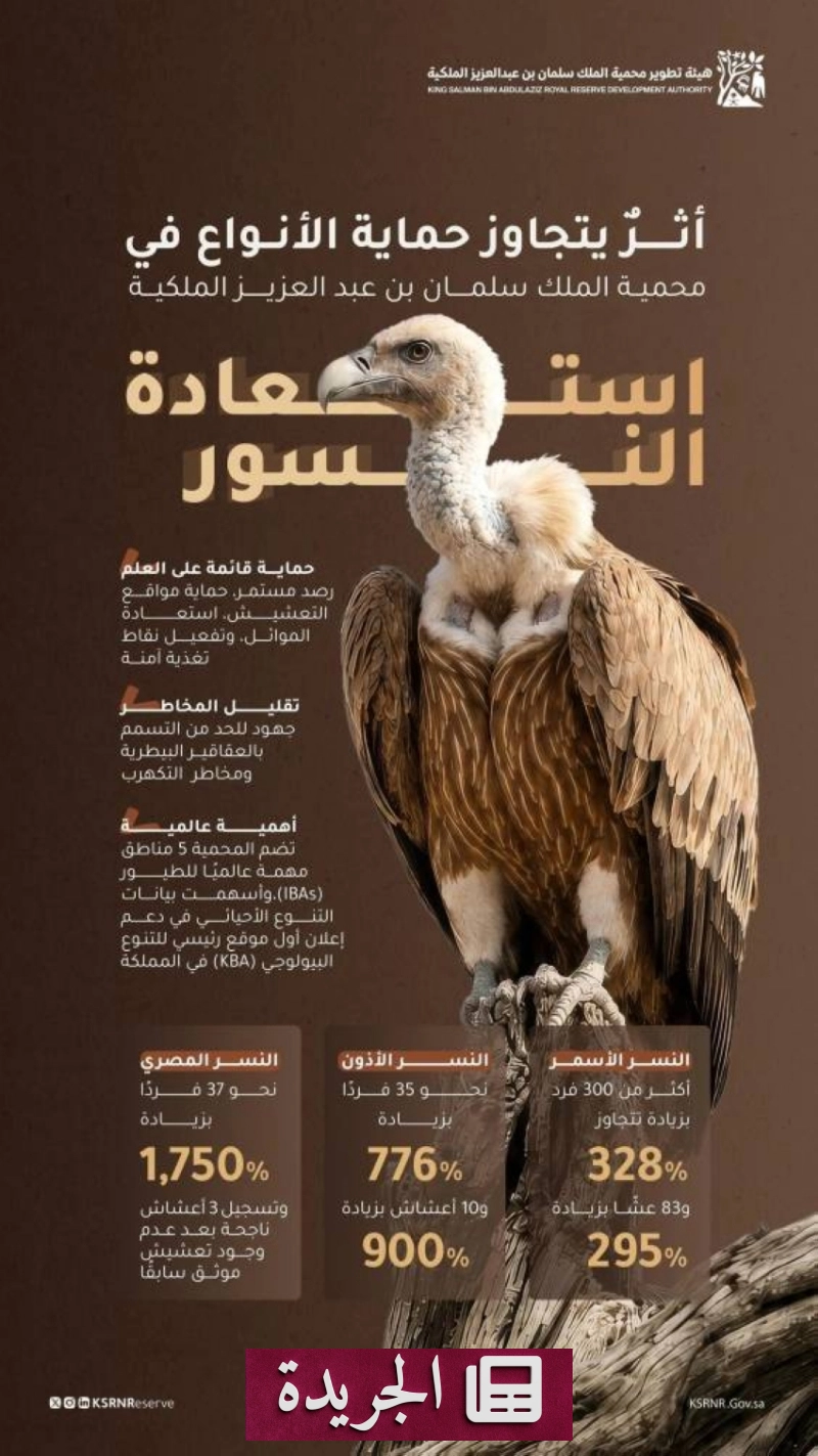 اشترك الآن في النشرة الإخبارية اليومية - آخر أخبار الجريدة