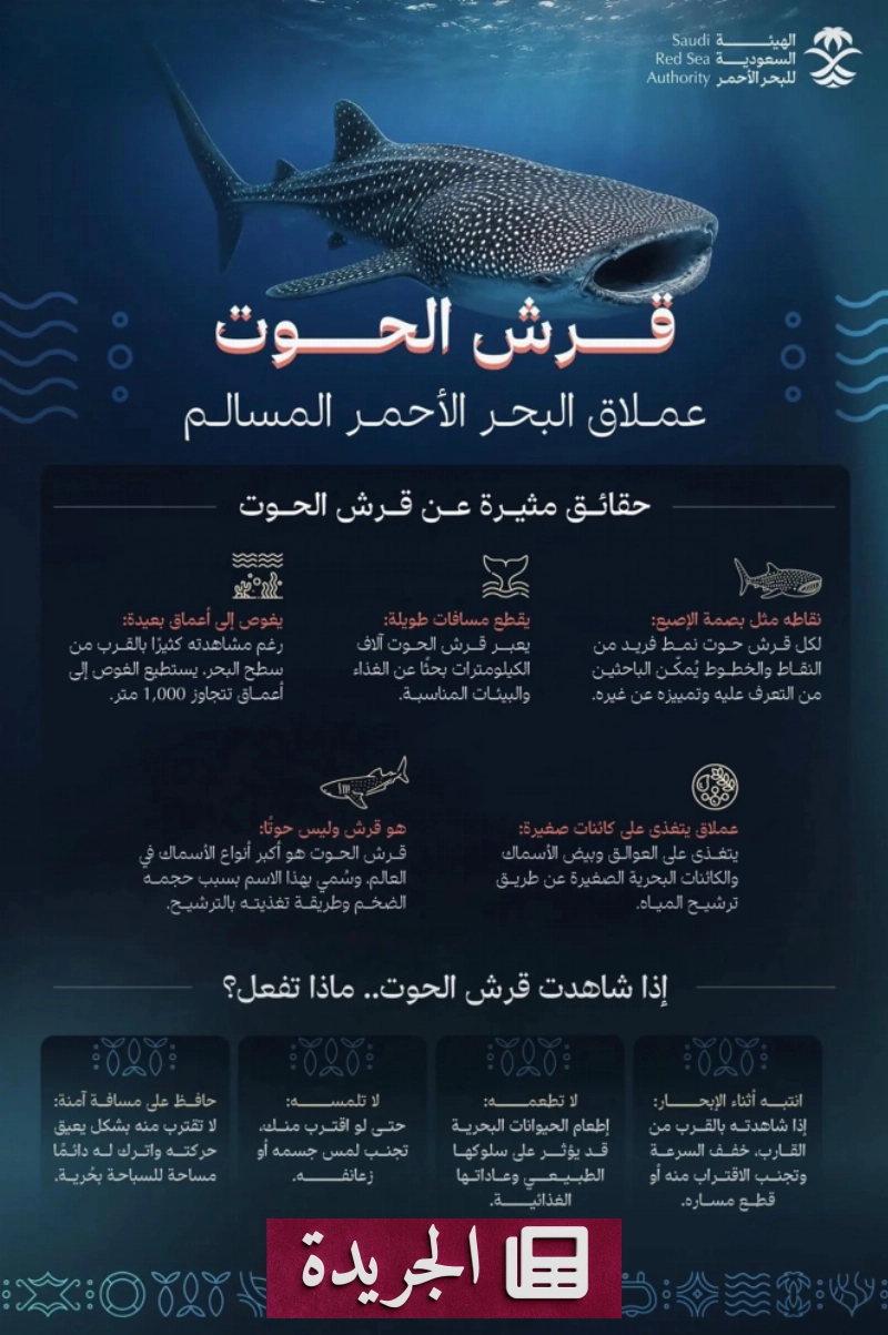 اشترك الآن في النشرة الإخبارية اليومية عبر بريدك الإلكتروني - آخر الأخبار - الجريدة