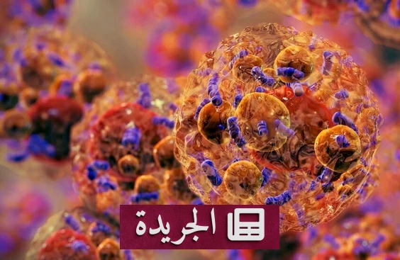 دواء جديد يحفز حرق الدهون بنسبة 18% دون مجهود أو حرمان من الطعام - آخر الأخبار - الجريدة