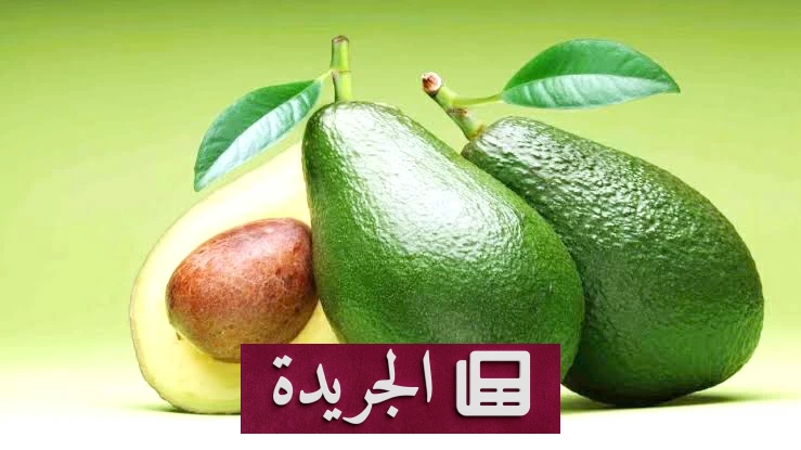 فوائد الأفوكادو الصحية التي لا تعرفها - آخر الأخبار - الجريدة