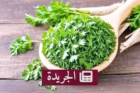 فوائد البقدونس الصحية التي لا تعرفها - آخر الأخبار - الجريدة