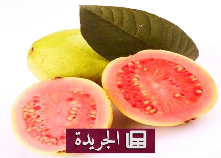فوائد الجوافة للحامل بين الوقاية من فقر الدم ودعم نمو الجنين