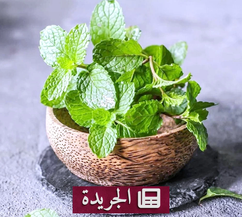 صورة توضح فوائد النعناع الصحية في تحسين رائحة الفم ودعم الهضم