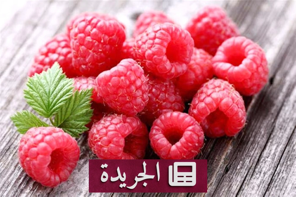 فوائد التوت الأحمر الصحية التي لا تعرفها - آخر الأخبار - الجريدة