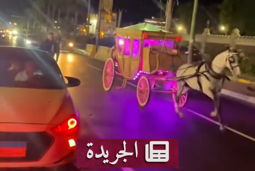 فرار حصان بعروسين في الإسكندرية وانقلاب عربة الحنطور - آخر أخبار الجريدة