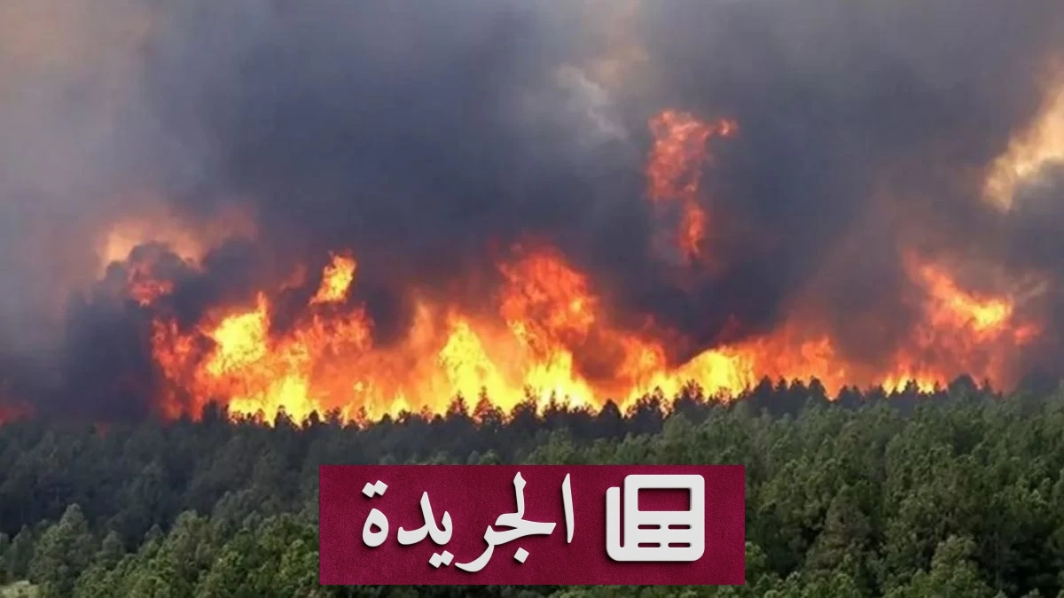 حرائق الغابات في شرق الجزائر تسفر عن 12 قتيلاً - آخر أخبار الجريدة