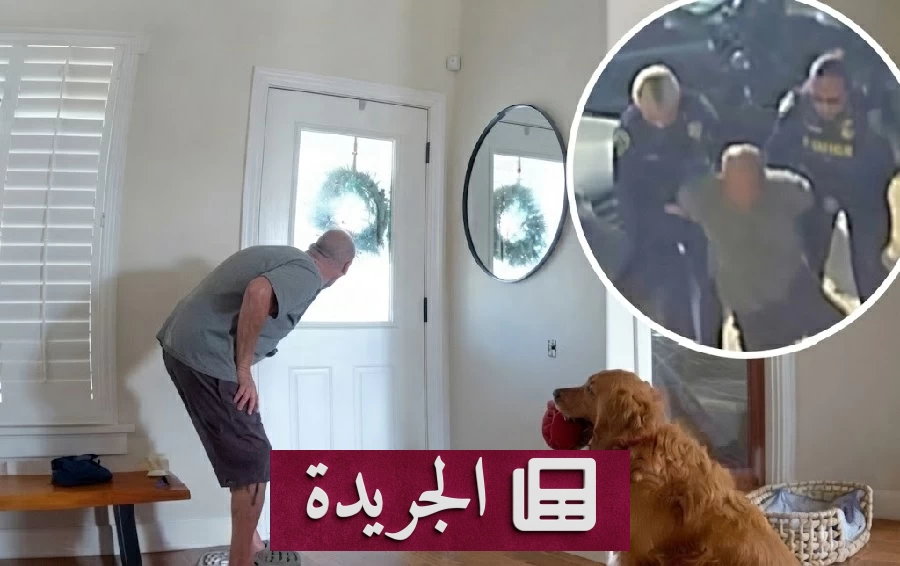 كلب جولدن ريتريفر ينقذ منزله من سارق بذكائه ولعبه - آخر أخبار الجريدة
