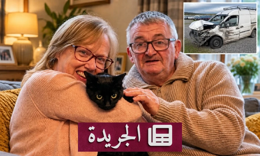 قطّة مفقودة تعود إلى أصحابها بعد غياب ست سنوات في عيد ميلادها - آخر الأخبار - الجريدة