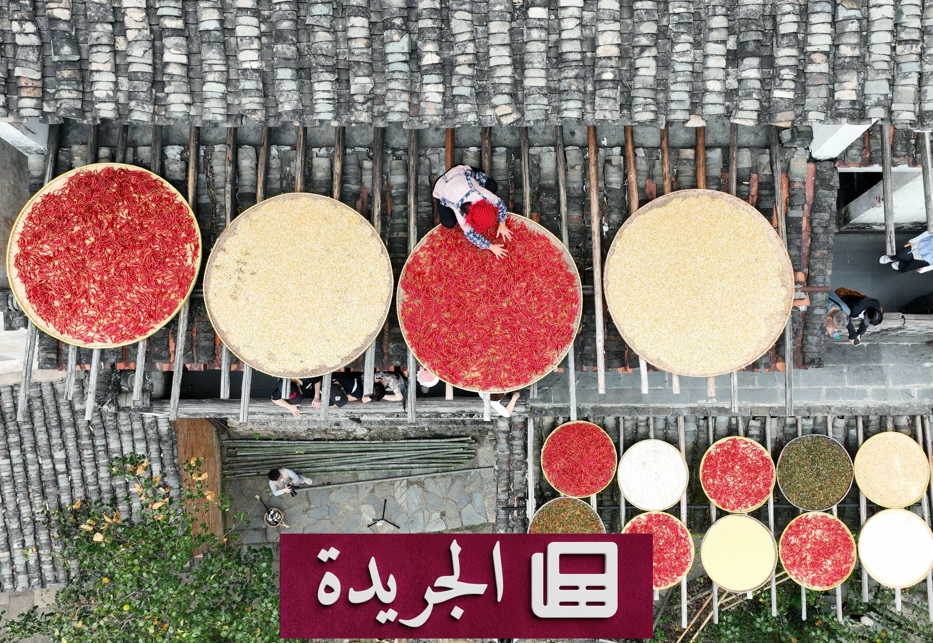 لوحات التجفيف في الحقول.. مشهد الخريف الملون في المزارع - آخر الأخبار - الجريدة