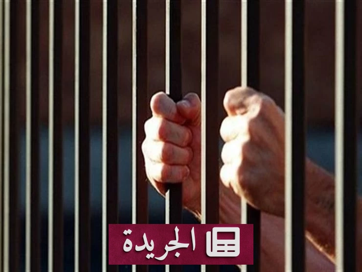 محاكمة 8 متهمين بقتل «حازم حمدان» في واقعة «سي جمبري» - آخر أخبار الجريدة
