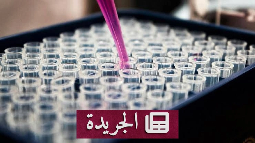 نجاحات رياضية وثقافية وعلمية في الساحة العربية والدولية - آخر الأخبار - الجريدة