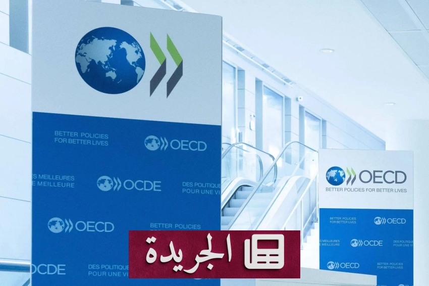 صحيفة المدينة تحتفل بمسيرتها وتستعد لمرحلة جديدة - آخر الأخبار - الجريدة