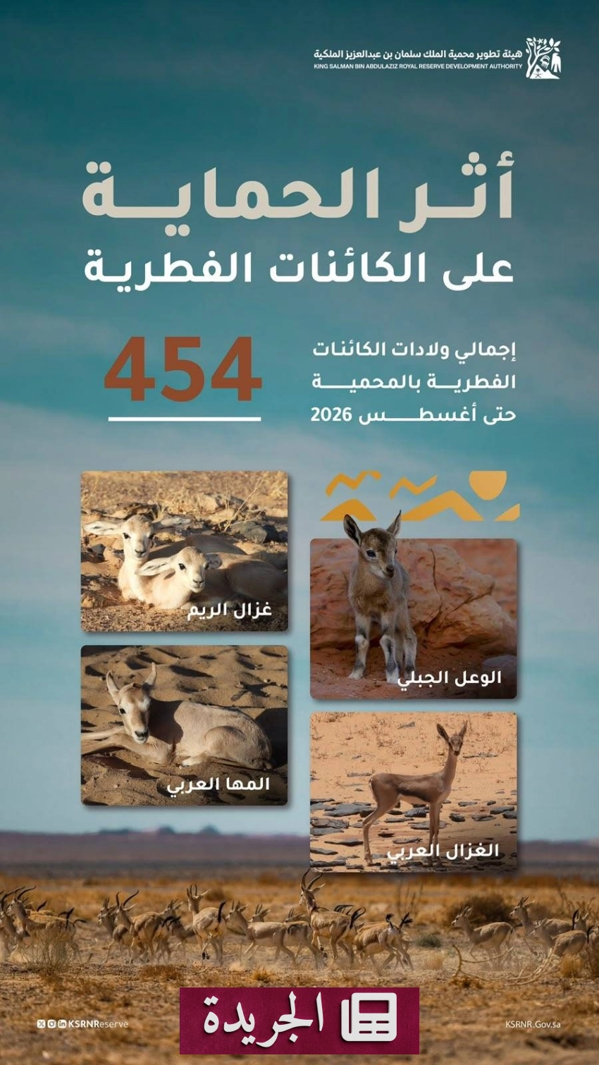 صحيفة المدينة تواصل تغطيتها الشاملة للأحداث المحلية والدولية - آخر الأخبار - الجريدة