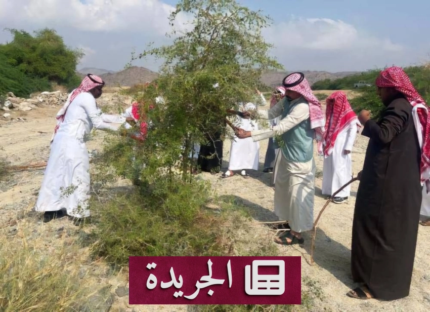 صحيفة المدينة تتجدد في تغطيتها للأخبار الوطنية والدولية - آخر الأخبار - الجريدة