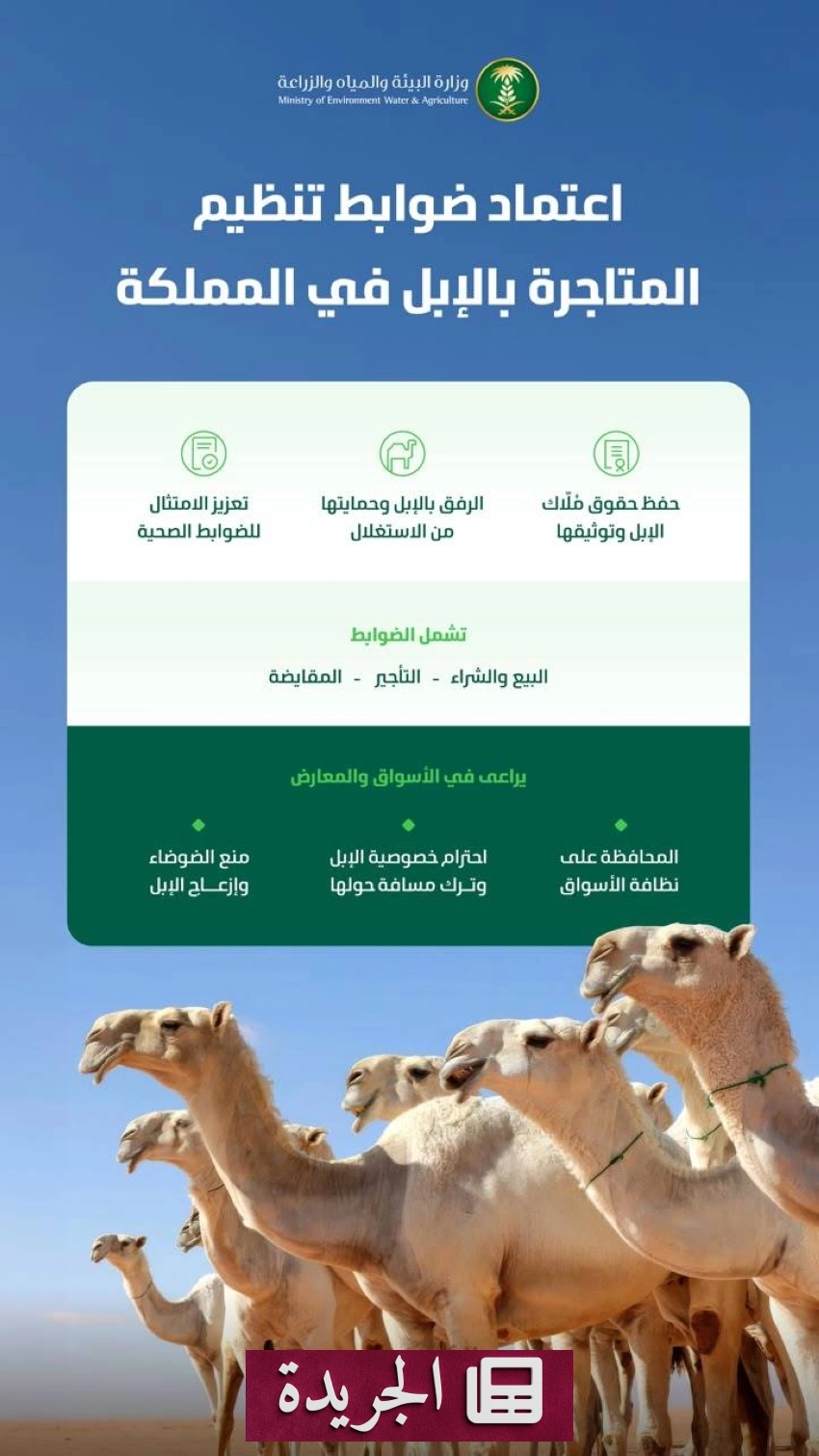 صحيفة سعودية رائدة تتوسع في تغطيتها الرياضية والثقافية - آخر الأخبار - الجريدة