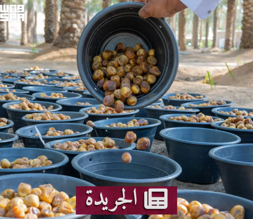 توجيهات خادم الحرمين الشريفين ودعوات التمكين والاستقرار في المملكة - آخر الأخبار - الجريدة