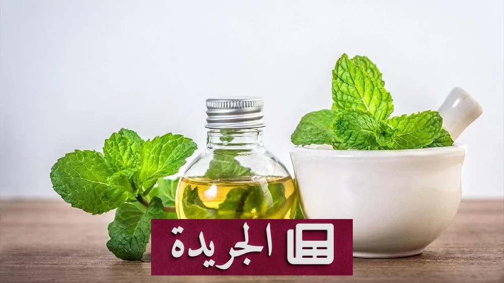 زيت النعناع يخفض ضغط الدم.. دراسة بريطانية تكشف فائدة صحية مفاجئة - آخر أخبار الجريدة