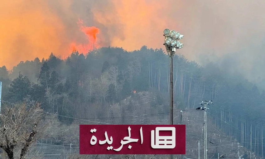 إخماد أكبر حريق غابات في اليابان بعد 11 يوماً من القتال - آخر الأخبار - الجريدة