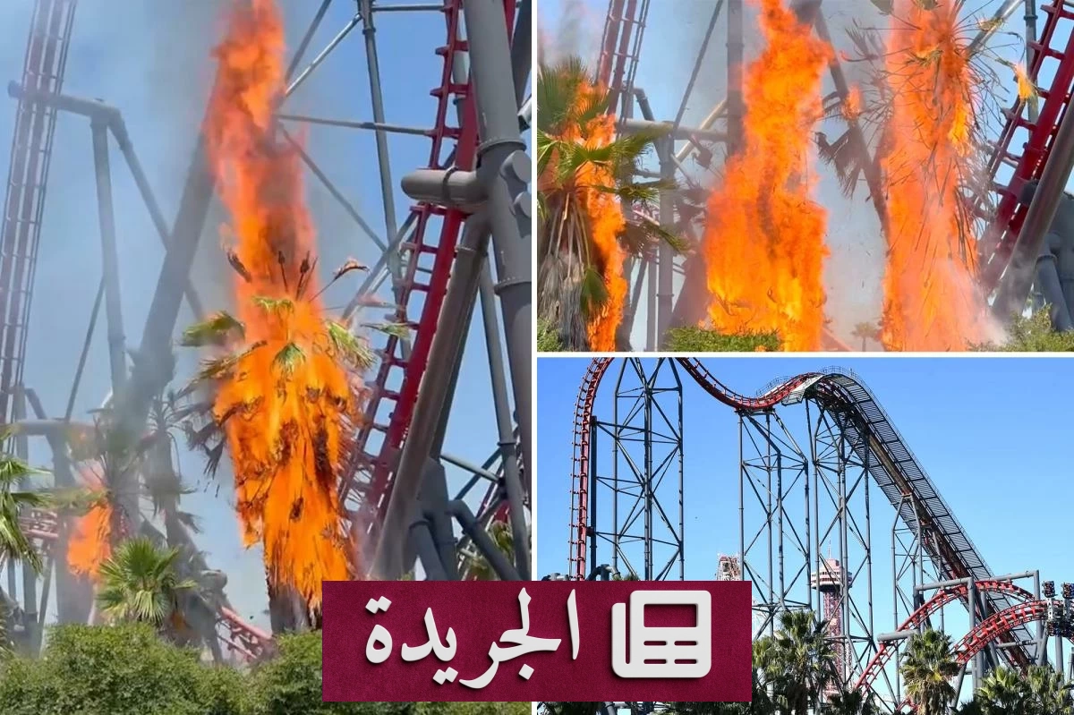 إخماد حريق مفاجئ أسفل أفعوانية شهيرة في لوس أنجلوس دون خسائر - آخر الأخبار - الجريدة