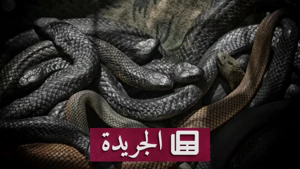 اكتشاف 27 ثعبانا داخل خزان مياه منزلي بالهند - آخر الأخبار - الجريدة