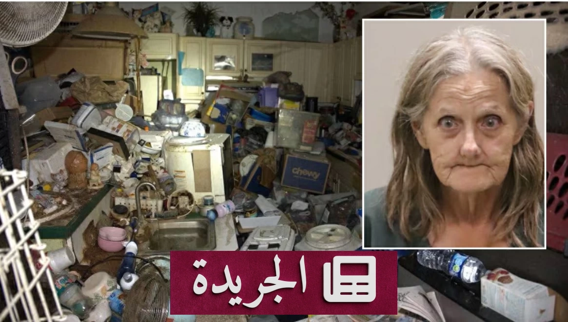 اكتشاف 92 حيوانا في منزل بفلوريدا.. 80 قطة و12 كلبا - أخبار أونلاين