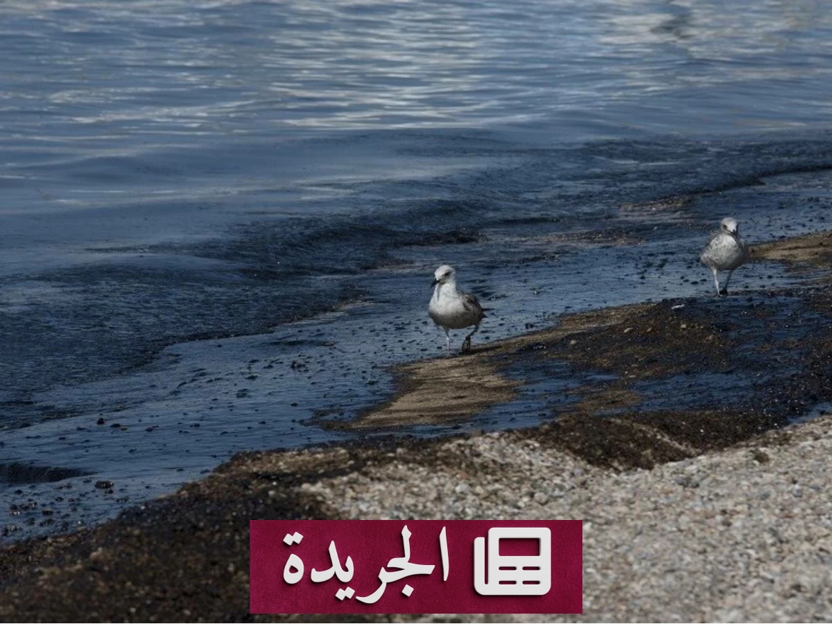 اكتشاف بكتيريا بحرية تقضي على التلوث النفطي بكفاءة عالية - آخر أخبار الجريدة