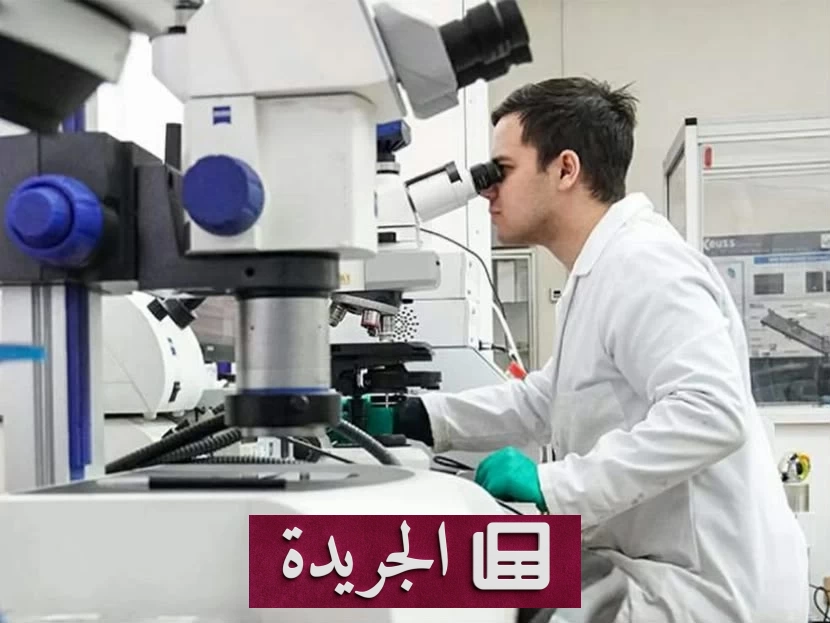 اكتشاف مناعي جديد قد يُحدث ثورة في علاج التهاب الأمعاء - آخر أخبار الجريدة