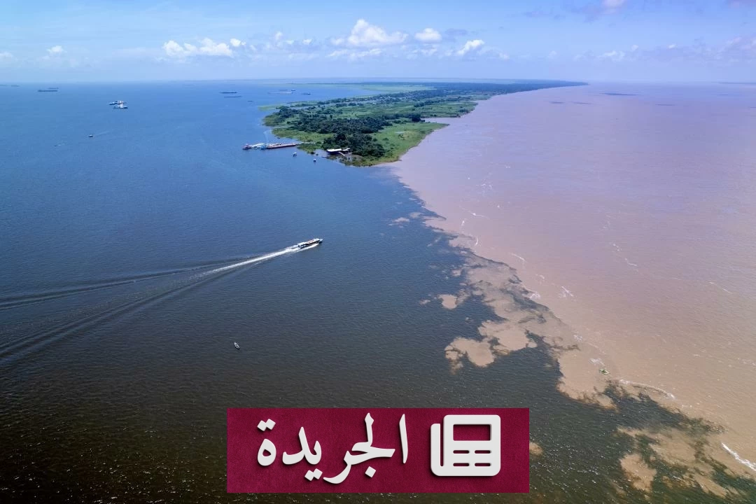 اكتشاف مذهل في الأمازون الإكوادوري 118 نوعاً جديداً من الأسماك في نهر كونامبو - أخبار أونلاين