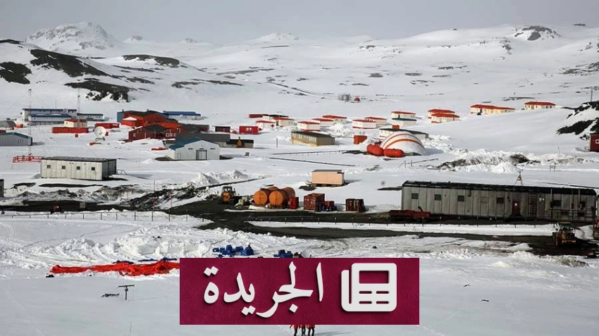 اكتشاف واحة جديدة في القارة القطبية الجنوبية قد تغير فهمنا للحياة - أخبار أونلاين
