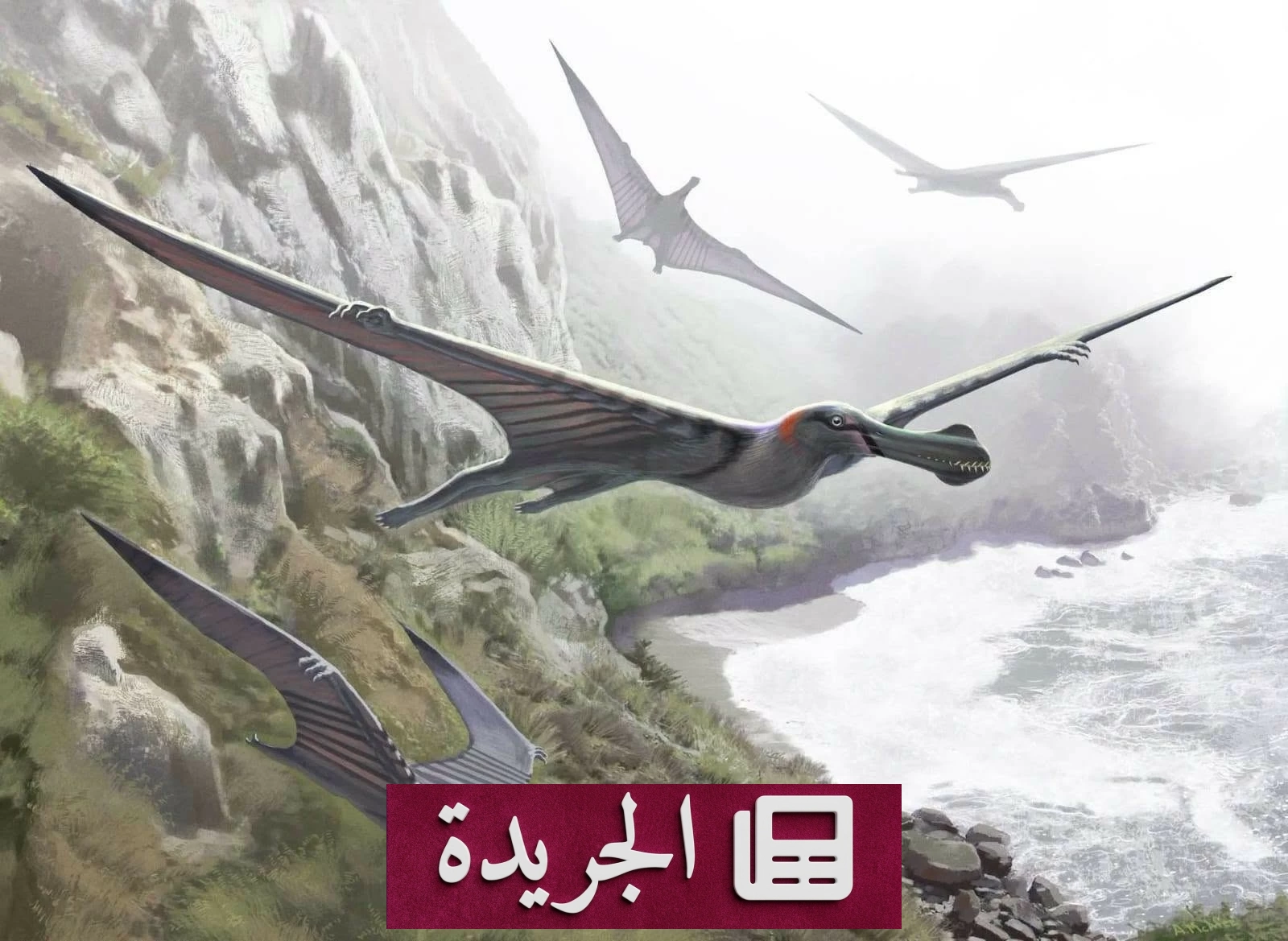 اكتشاف تاريخي في مصر.. أول دليل حفري للزواحف الطائرة بعد 95 مليون سنة - آخر أخبار الجريدة