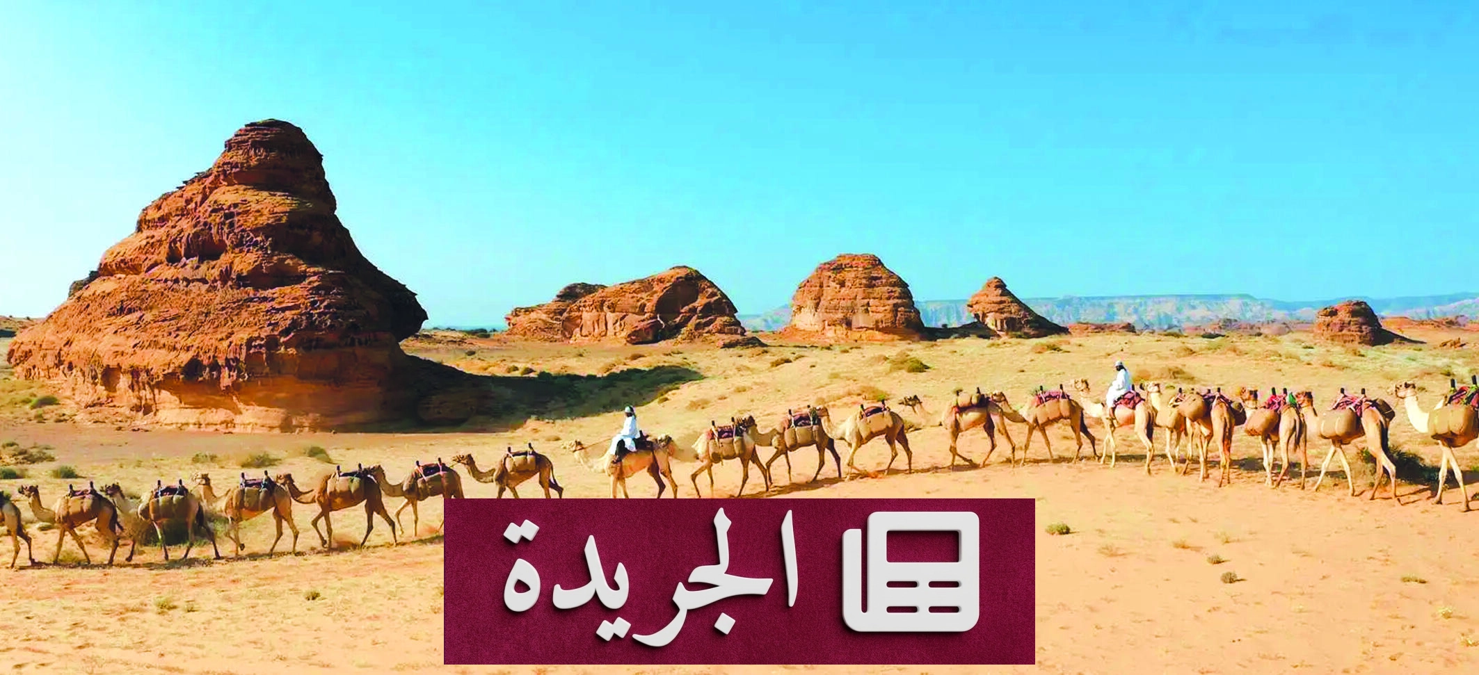الإبل.. سفينة الصحراء التي تحمل إرث الإنسانية - آخر الأخبار - الجريدة