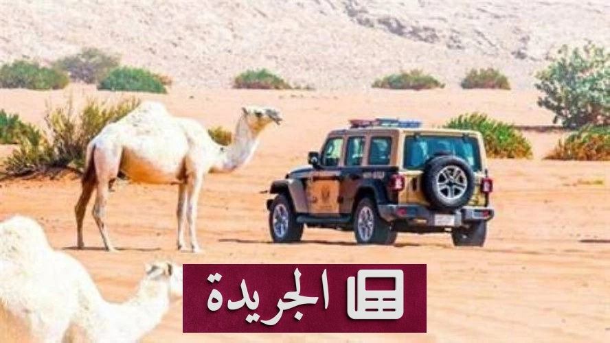 الأمن البيئي يضبط ثلاث مخالفات بيئية في عسير والرياض - آخر الأخبار - الجريدة