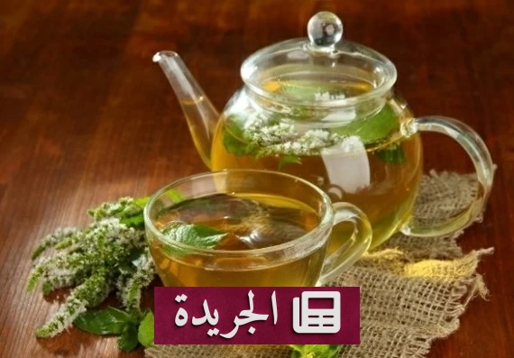 البردقوش عشبة السعادة.. فوائد صحية مذهلة للتنظيم الهرموني والنوم - آخر الأخبار - الجريدة