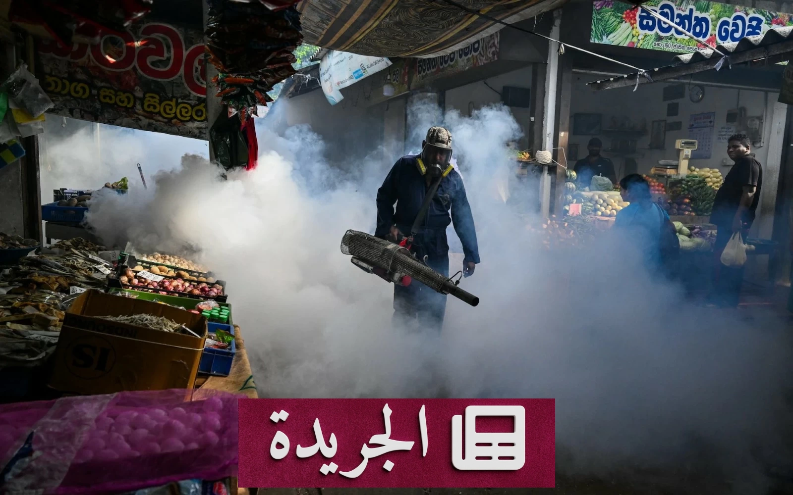 الهند تعتمد لقاحاً جديداً لمواجهة انتشار حمى الضنك المتزايد - آخر الأخبار - الجريدة