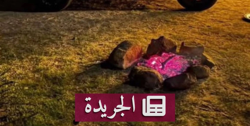 القوات الخاصة للأمن البيئي تعتقل مواطنًا مخالفًا في عسير - آخر الأخبار - الجريدة
