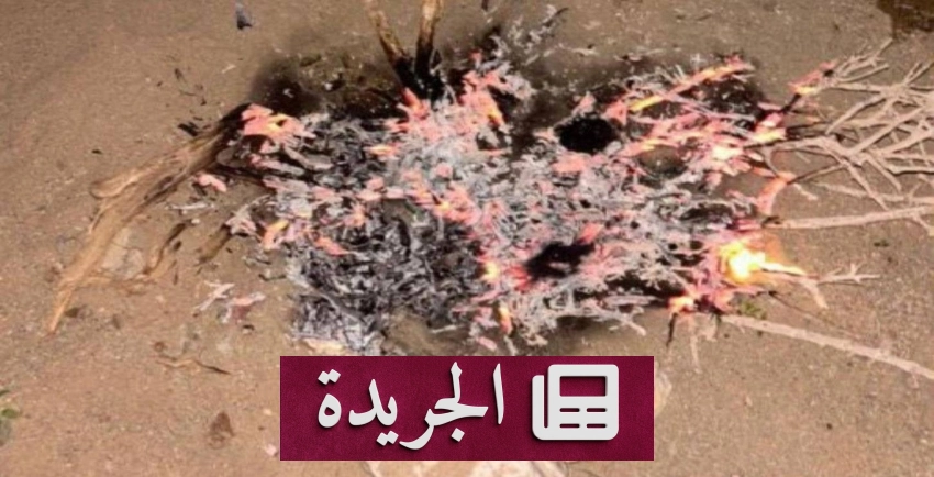 القوات الخاصة للأمن البيئي تضبط مخالفًا بإشعال النار في محمية الأمير محمد - آخر الأخبار - الجريدة