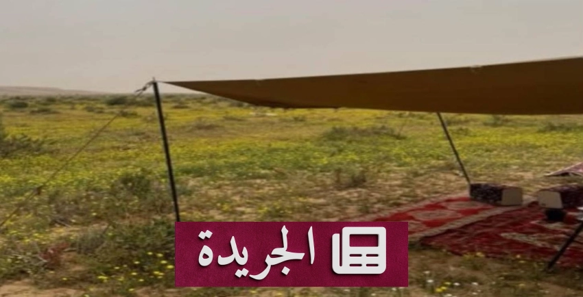 القوات الخاصة للأمن البيئي تضبط مخالفًا للتخييم في محمية الملك عبدالعزيز - آخر أخبار الجريدة