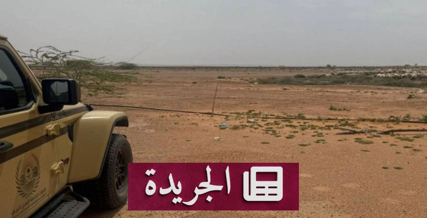 القوات الخاصة للأمن البيئي تلقي القبض على مخالف في محمية الملك عبدالعزيز الملكية - آخر الأخبار - الجريدة